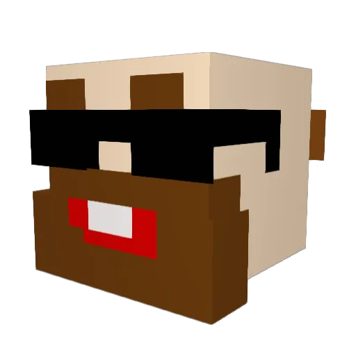 taigo1313 Minecraft avatar head, 3D render