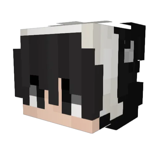 taihei66 Minecraft avatar head, 3D render