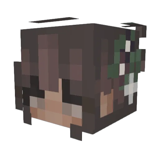 taiioa Minecraft avatar head, 3D render
