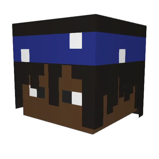 taikaboy Minecraft avatar head, 3D render