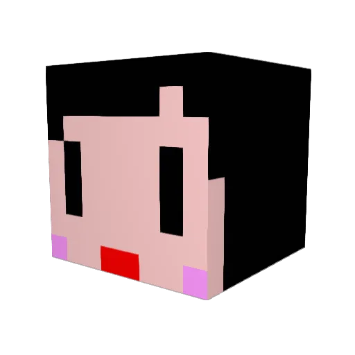 taiki003 Minecraft avatar head, 3D render