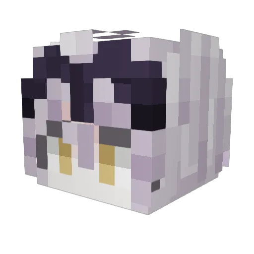 tailro Minecraft avatar head, 3D render