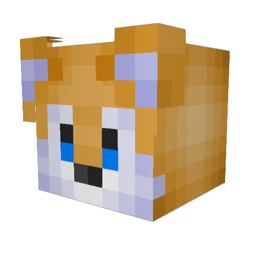 tailsluvver Minecraft avatar head, 3D render