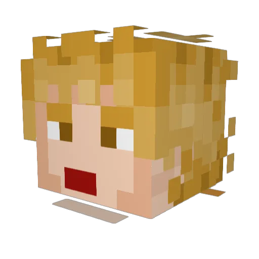 tainosuke01 Minecraft avatar head, 3D render