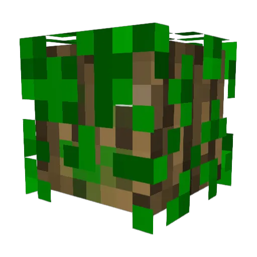 taipey Minecraft avatar head, 3D render