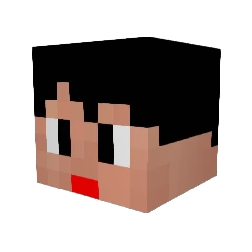 taisei2205 Minecraft avatar head, 3D render