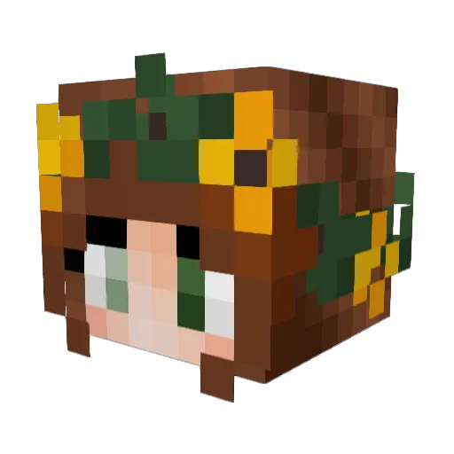 taitati Minecraft avatar head, 3D render