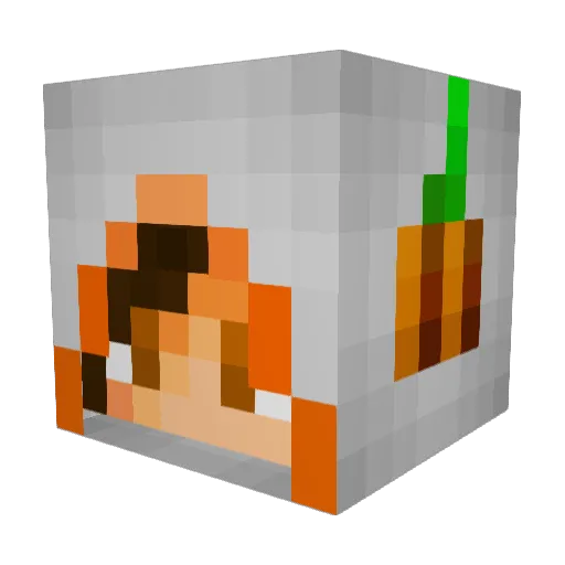 taityi Minecraft avatar head, 3D render