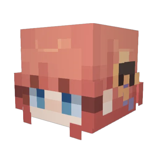 taiwallowcakes Minecraft avatar head, 3D render