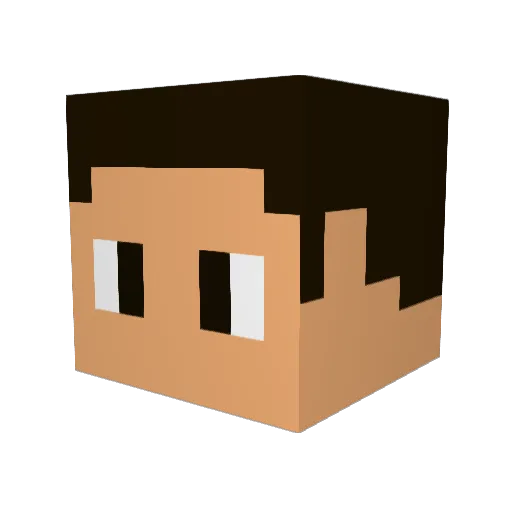 taiyla Minecraft avatar head, 3D render