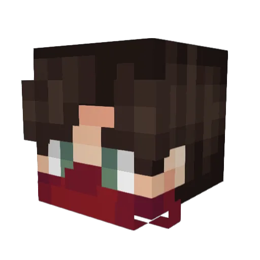 taizFR Minecraft avatar head, 3D render