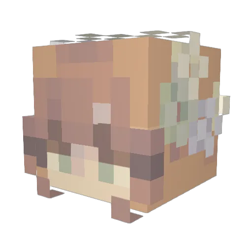 taj8 Minecraft avatar head, 3D render