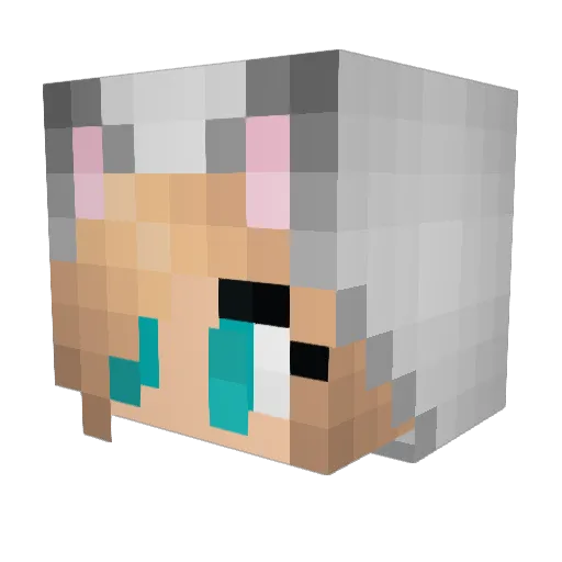 tajia Minecraft avatar head, 3D render