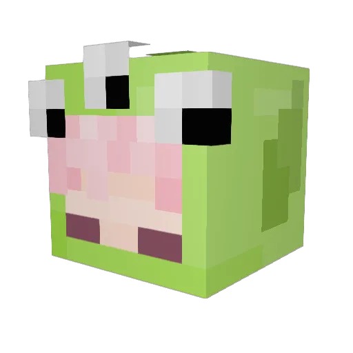 tak0_o Minecraft avatar head, 3D render