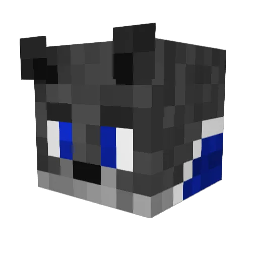 taka_kurage Minecraft avatar head, 3D render