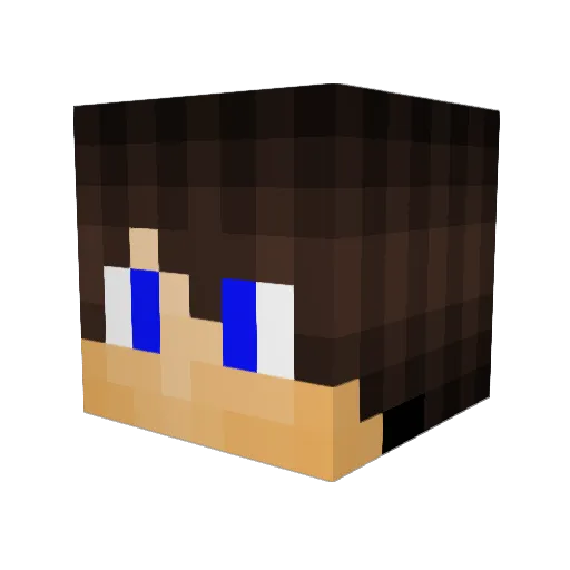 takahiro1 Minecraft avatar head, 3D render