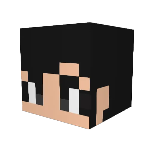 takamomo Minecraft avatar head, 3D render