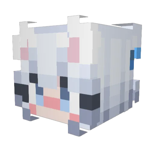 takanash1_ Minecraft avatar head, 3D render