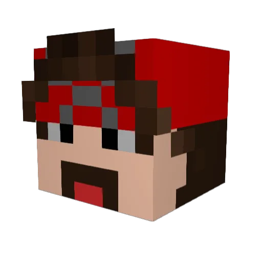 takataka3128 Minecraft avatar head, 3D render