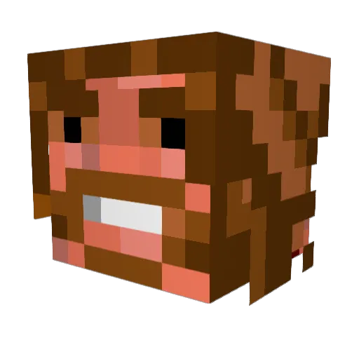 takatalvi Minecraft avatar head, 3D render