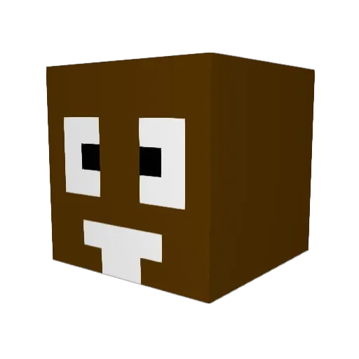 takayan8910 Minecraft avatar head, 3D render