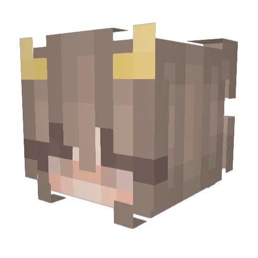 takeaubu Minecraft avatar head, 3D render