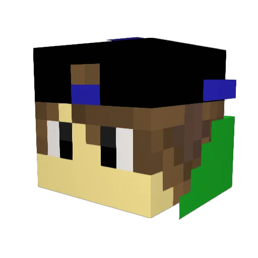 takehara20 Minecraft avatar head, 3D render