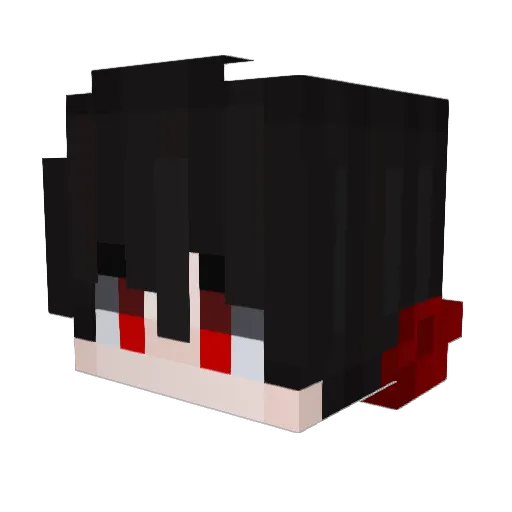 takemark1 Minecraft avatar head, 3D render