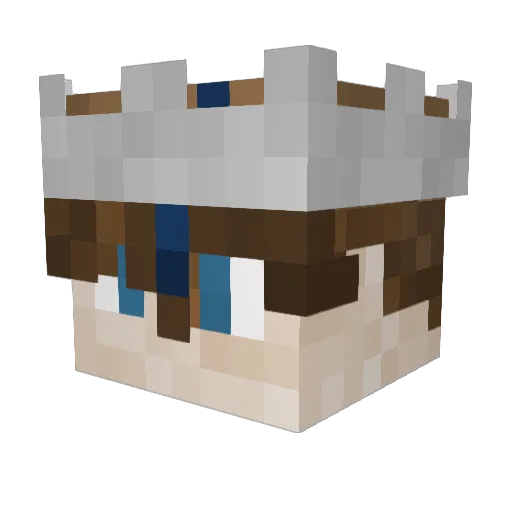 takenN07 Minecraft avatar head, 3D render