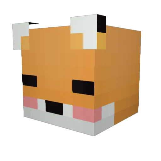 takeo_19 Minecraft avatar head, 3D render