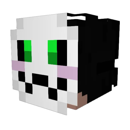 takerhaker Minecraft avatar head, 3D render