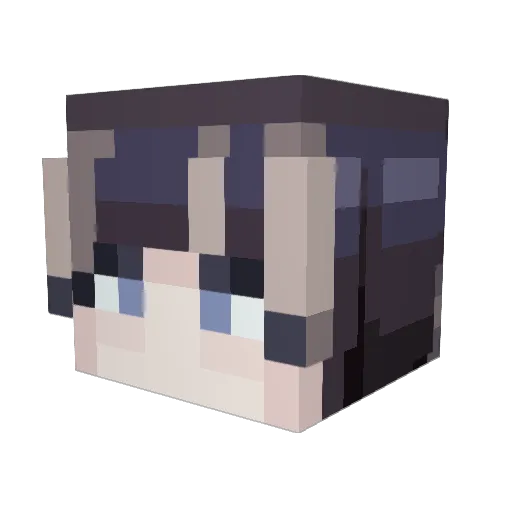 takeyo_ Minecraft avatar head, 3D render