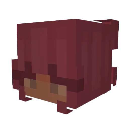 takifuego Minecraft avatar head, 3D render