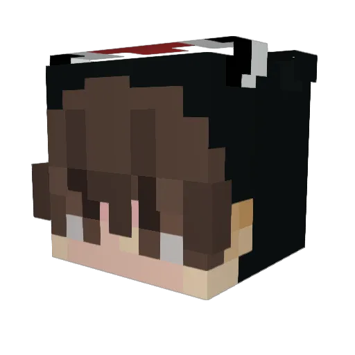 takiiwyd Minecraft avatar head, 3D render