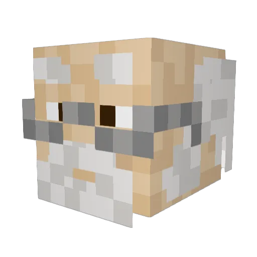 takketti Minecraft avatar head, 3D render