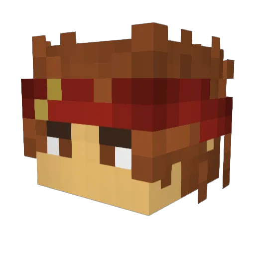 takkun1217 Minecraft avatar head, 3D render