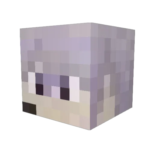 takkupe Minecraft avatar head, 3D render