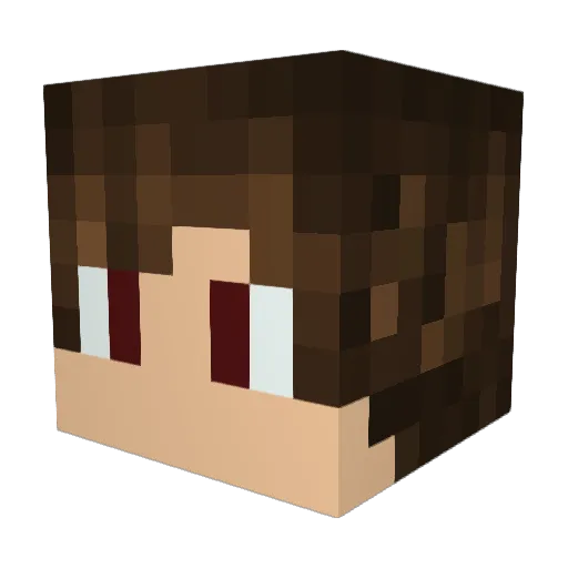 tako543 Minecraft avatar head, 3D render