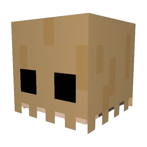 tako9141 Minecraft avatar head, 3D render