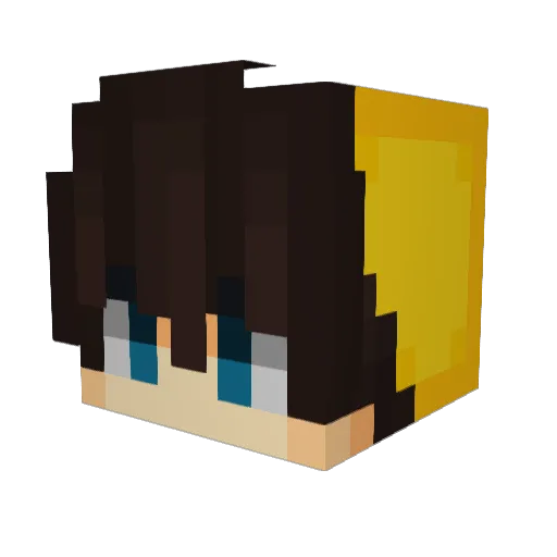tako_1106 Minecraft avatar head, 3D render