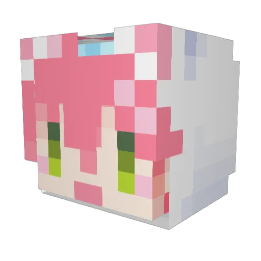 tako_3228 Minecraft avatar head, 3D render