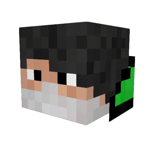 tako_taiga Minecraft avatar head, 3D render