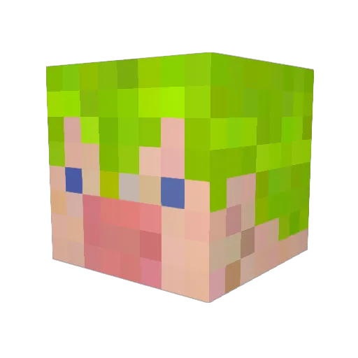 takojon Minecraft avatar head, 3D render