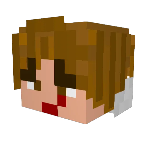 takokin_ Minecraft avatar head, 3D render