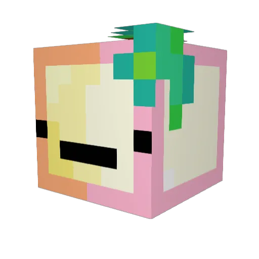 takomi404 Minecraft avatar head, 3D render
