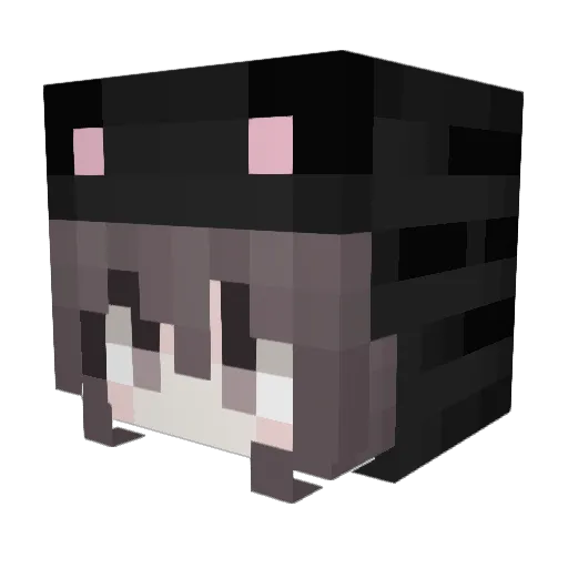takoyaki434 Minecraft avatar head, 3D render