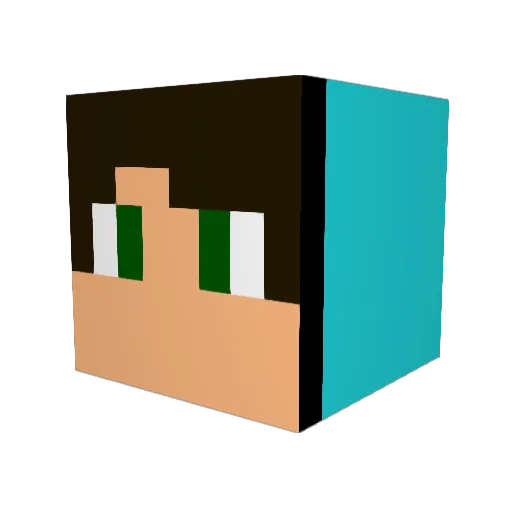taku2610 Minecraft avatar head, 3D render