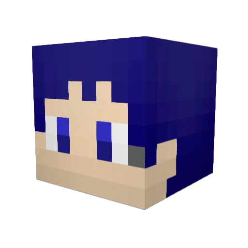 takumin393 Minecraft avatar head, 3D render