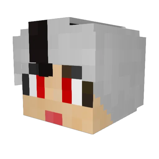 tal_ju Minecraft avatar head, 3D render