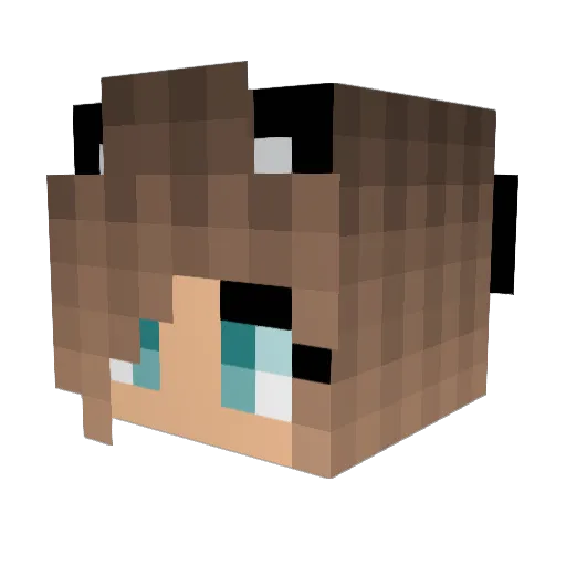 taleea_ Minecraft avatar head, 3D render